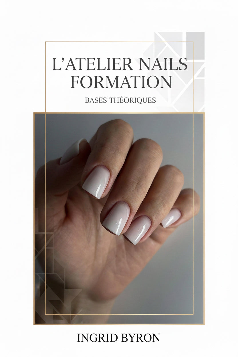 Formation Bases Théoriques ( Débutant + Perfectionnement)